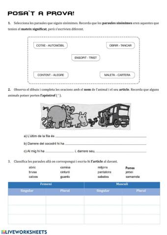 L'article, els sons de la r i els sinònims