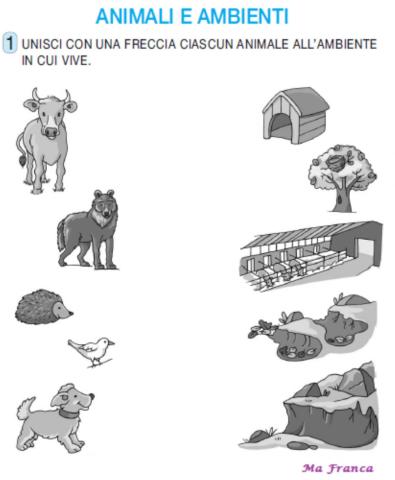 Animali e ambienti