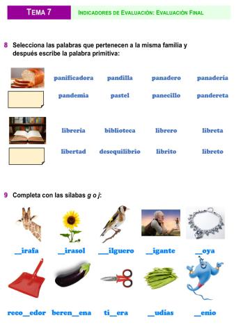 Familias de palabras y g,j