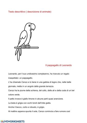 Il pappagallo di Leonardo