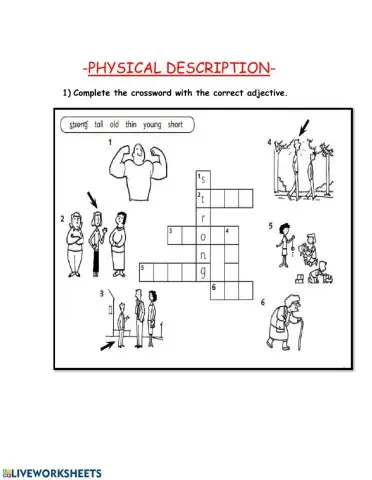 Adjectives- Physical Description