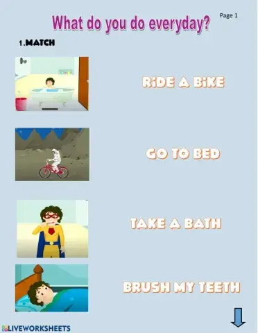 What do you do everyday?