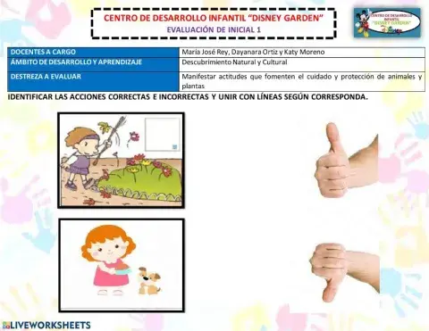 Acciones correctas e incorrectas en el cuidado de las plantas