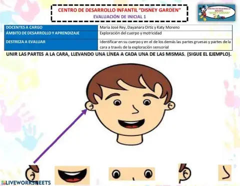 Las partes de la cara