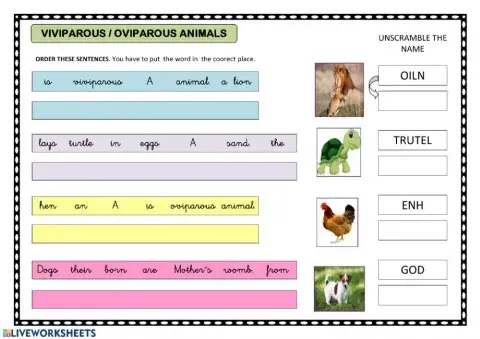 Oviparous and viviparous animals