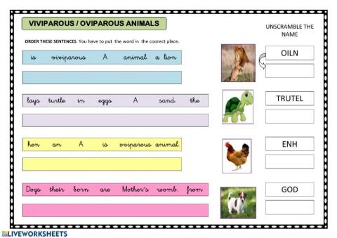 Oviparous and viviparous animals