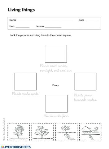 Plants characteristics