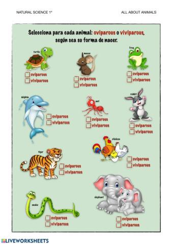 Viviparous or oviparous