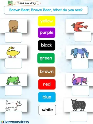 Brown bear, Brown bear, What colour do you see?