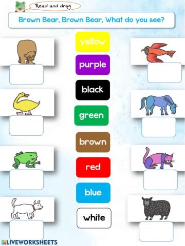 Brown bear, Brown bear, What colour do you see?