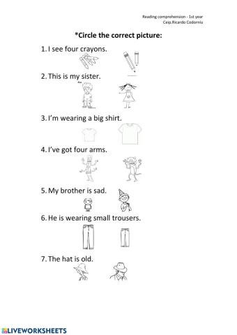 Reading comprehension 1st and 2nd term