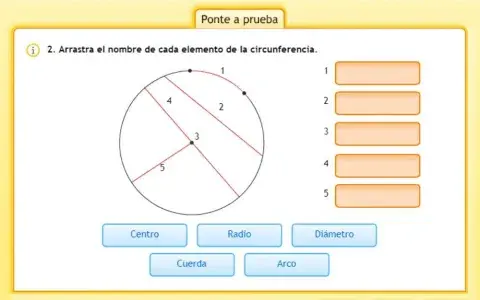 Circunferencia y círculo
