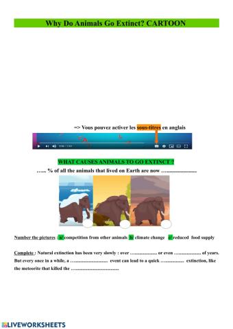 What causes animals to go extinct