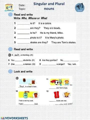 Singular and Plural Noun