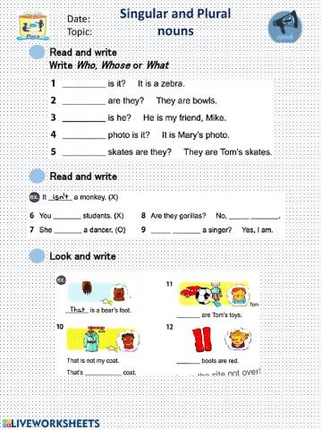 Singular and Plural Noun