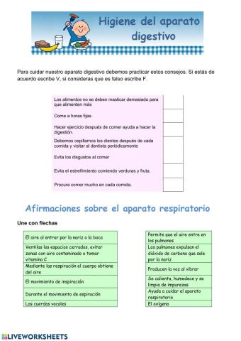 Cuidados del aparato digestivo