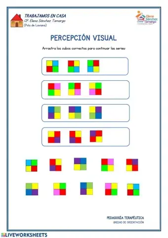 Percepción visual
