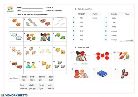 Singular and Plural Noun exercise