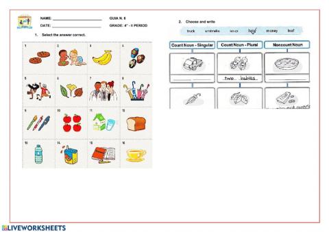Count and noncount nouns Excersice