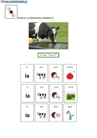 Elige la frase correcta