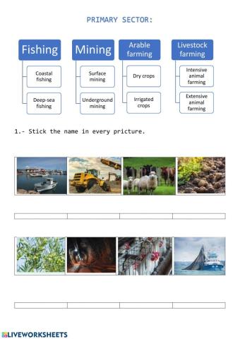 Primary sector