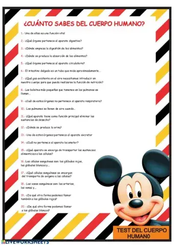 Test del cuerpo humano