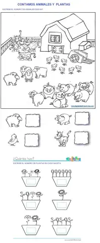 Contamos animales y plantas