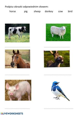 Farm animals II