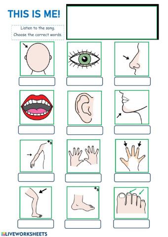 This is me! The body song