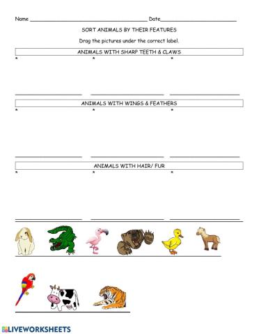 Sort Animals by their Features