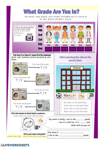 What grade are you in?