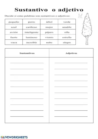 Adjetivo-Sustantivo