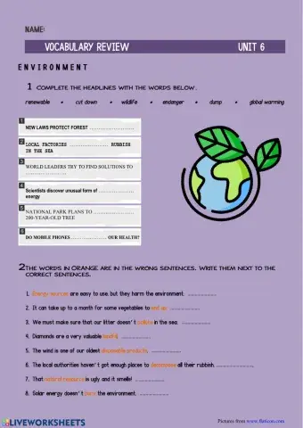 VOCABULARY REVIEW 4º- UNIT 6: Environment