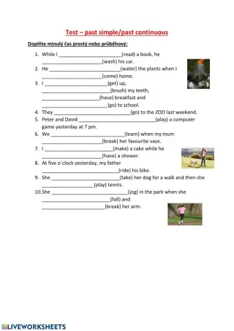 Test past continuous-simple