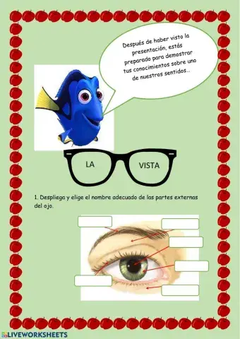 Los sentidos. La vista