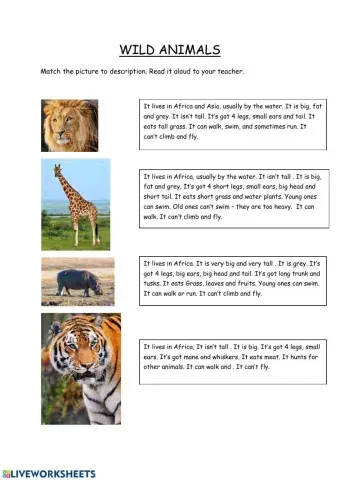 Vocabulary, Reading Wild Animals
