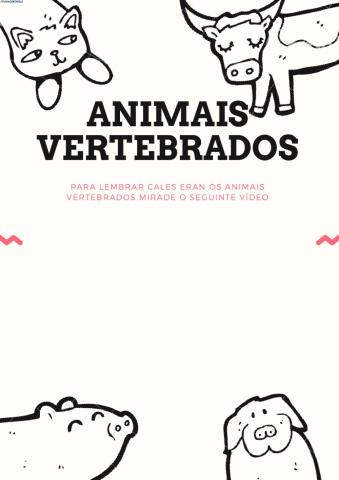 Animais invertebrados (vídeo)