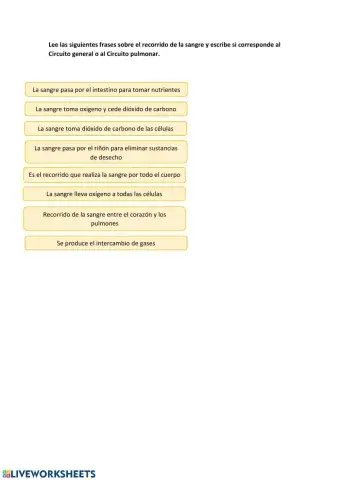 Circuito de la sangre: pulmonar y general