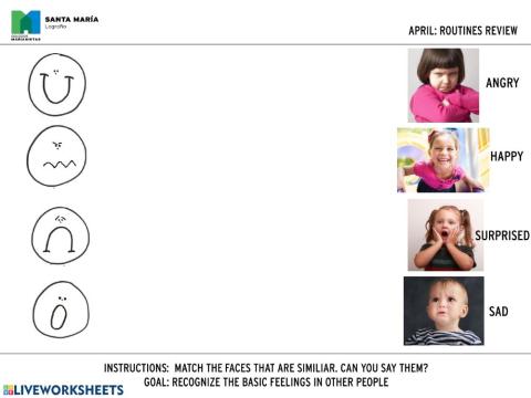 Feelings review for octopus and dolphins