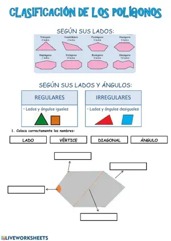 Clasificación de los polígonos