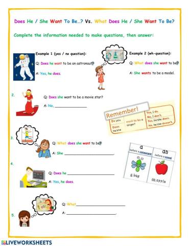Yes - No questions vs Wh- questions