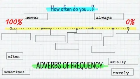 Put the adverbs of frequency in order
