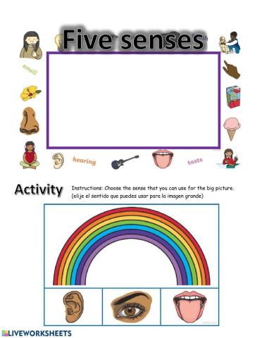 5 senses