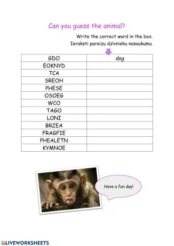 Animals vocabulary
