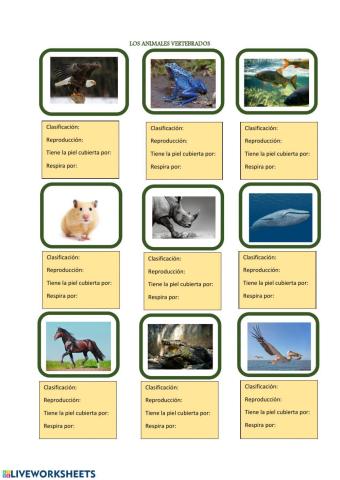 Animales vertebrados