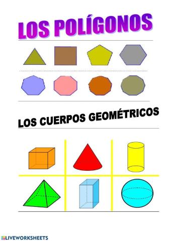 Los polígonos