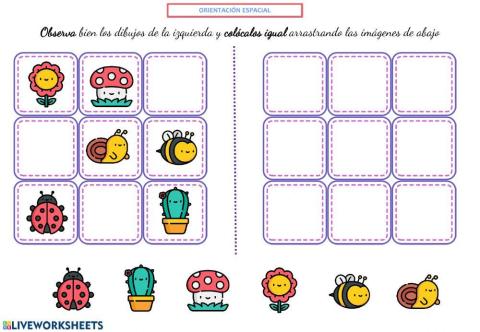 Orientación espacial 1