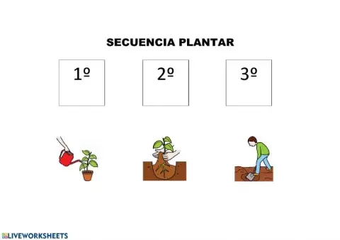 Secuencia plantar