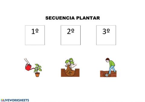 Secuencia plantar