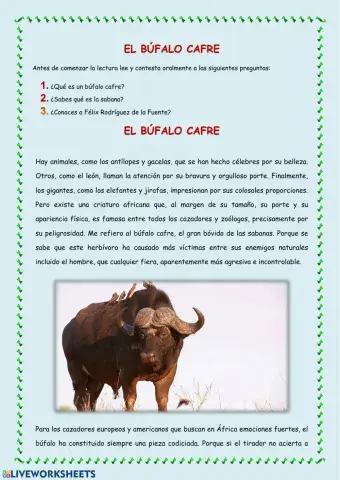 Lectura: El búfalo cafre